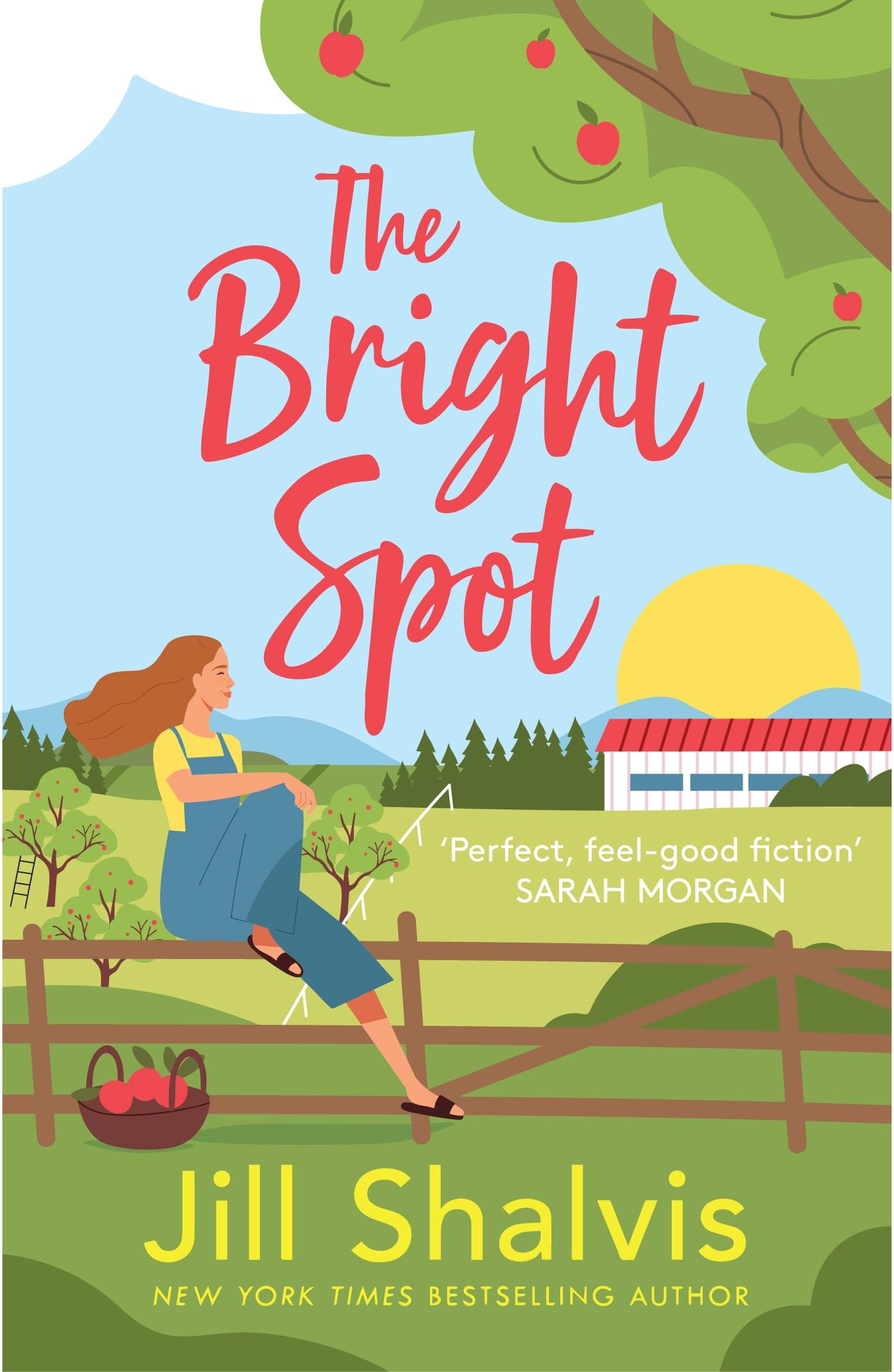 The Bright Spot Contemporary literature Books