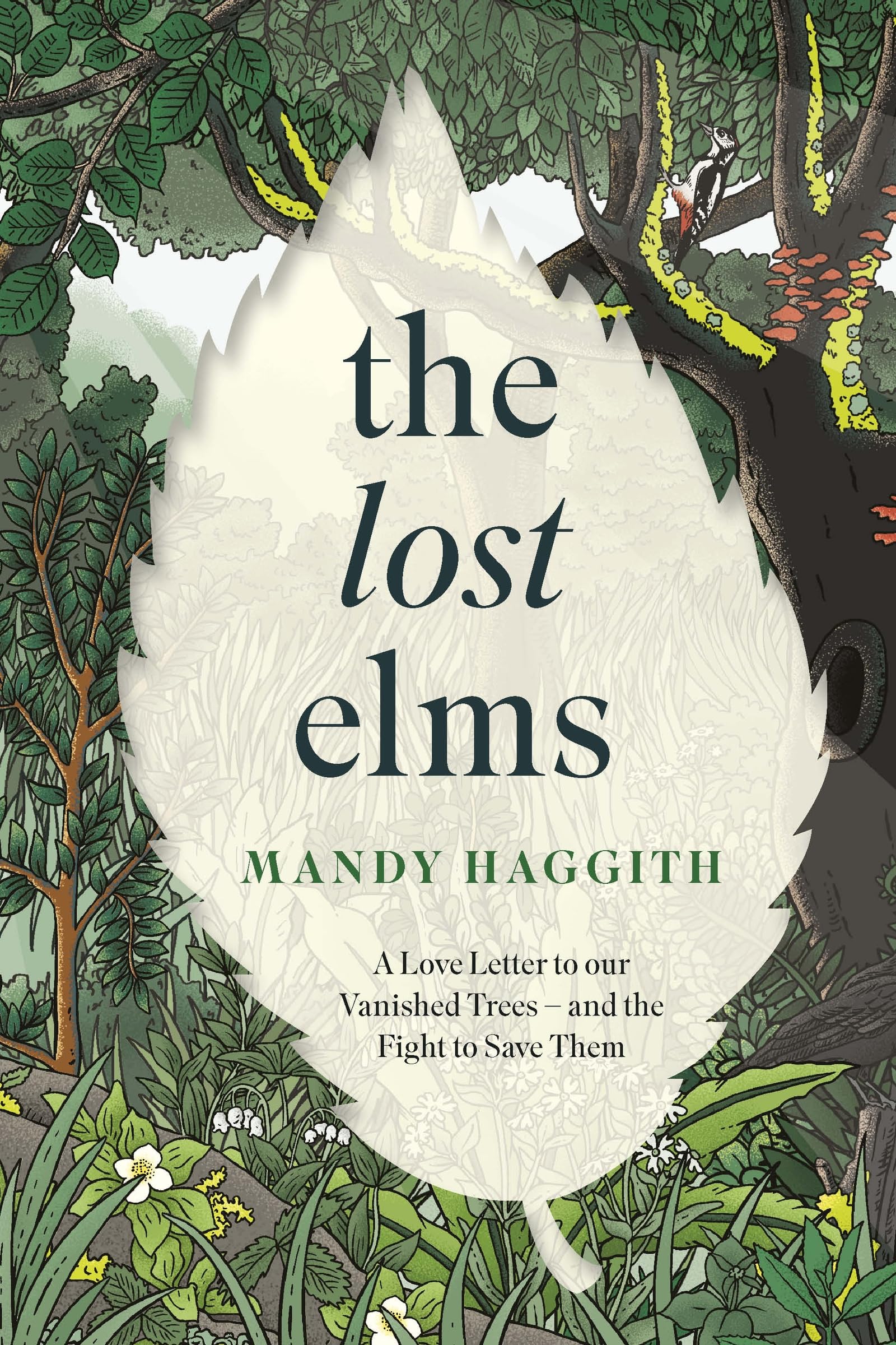The Lost Elms Geology & Geography