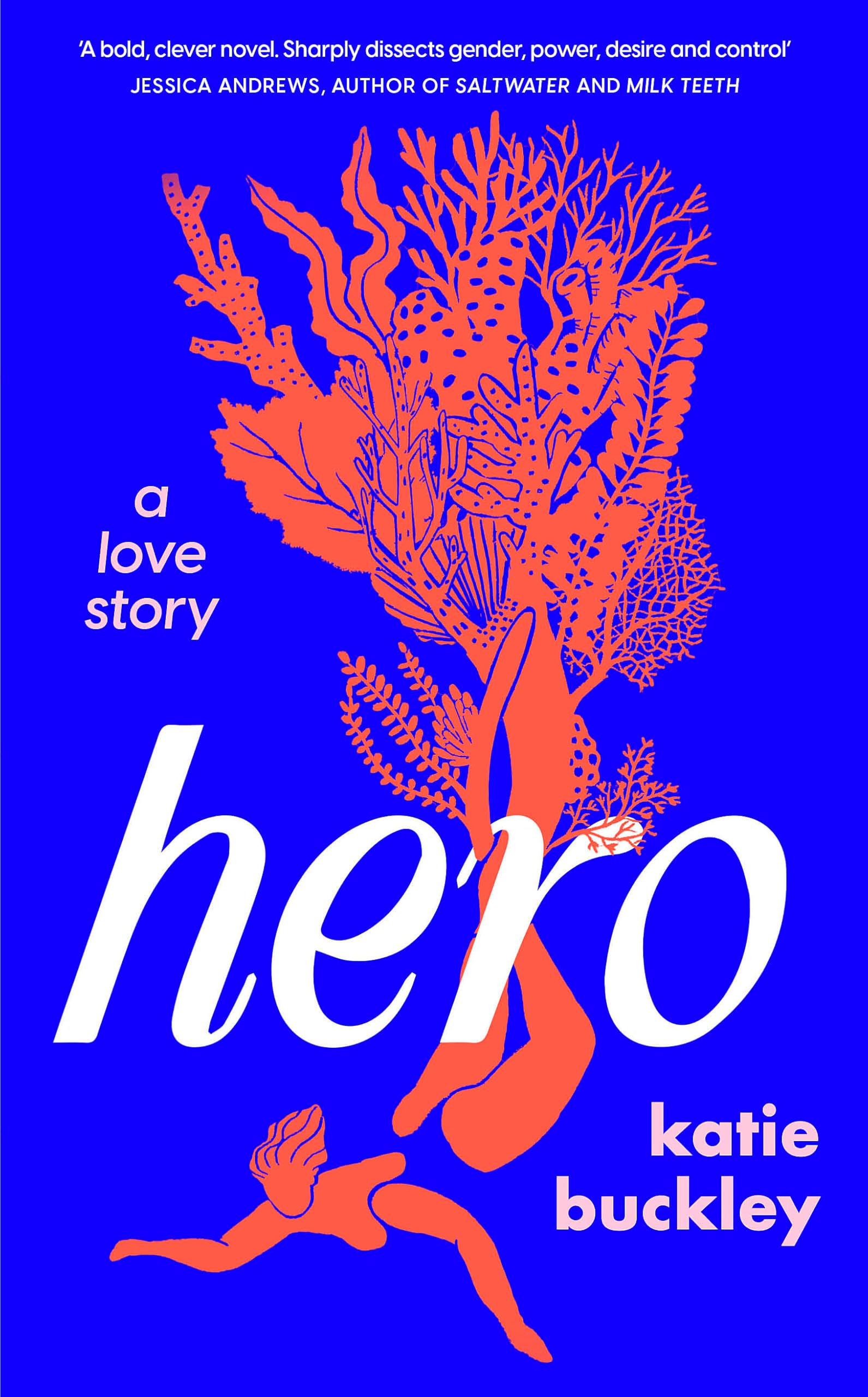 Hero Contemporary literature Books