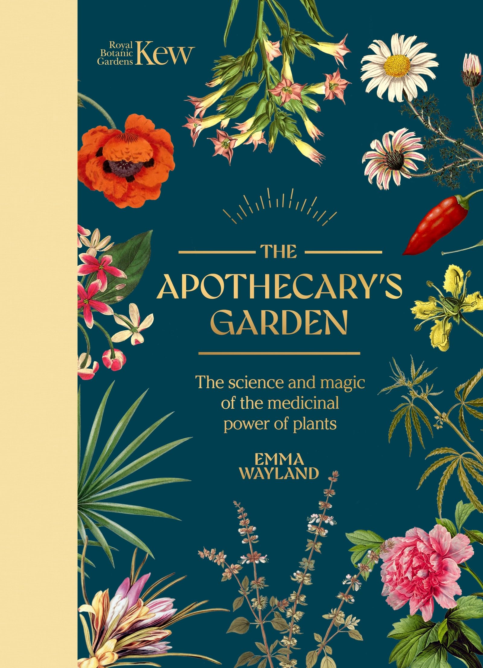 The Apothecary's Garden Medicine