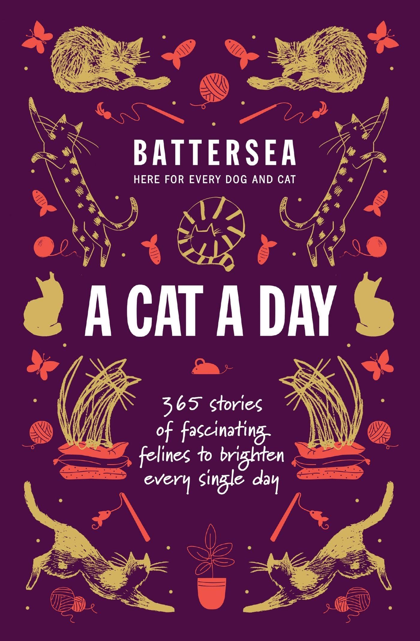 Battersea Dogs and Cats Home - A Cat a Day Law