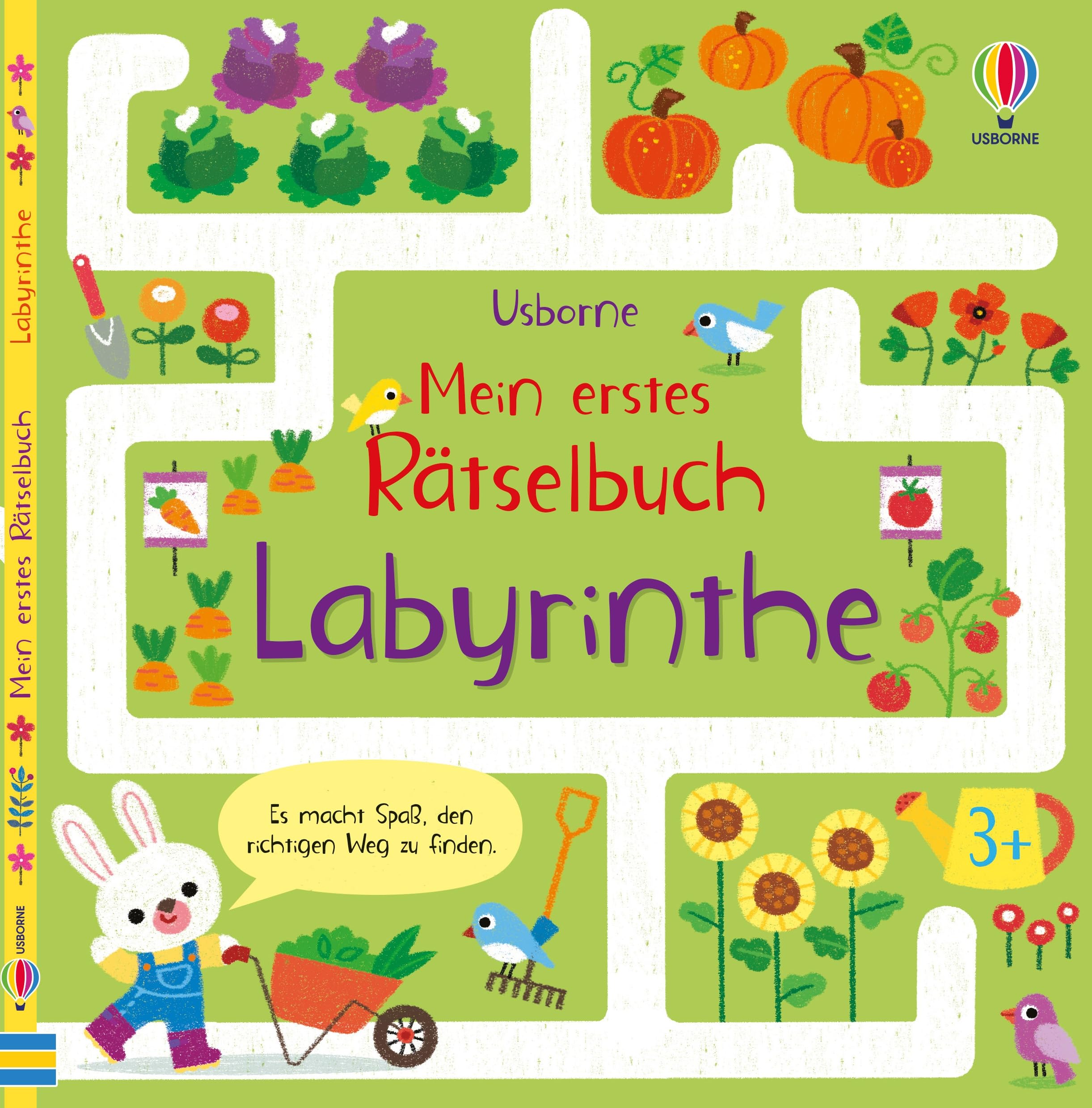 Mein erstes Rätselbuch: Labyrinthe Non-fiction