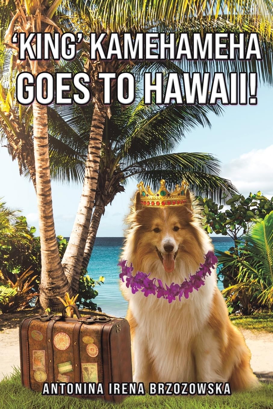 'King' Kamehameha Goes to Hawaii! book