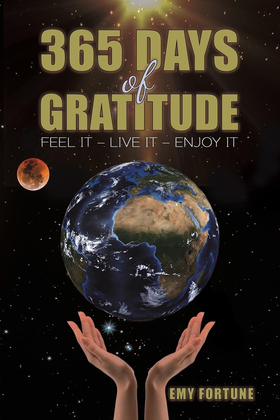 365 Days of Gratitude: Feel It - Live It - Enjoy It book