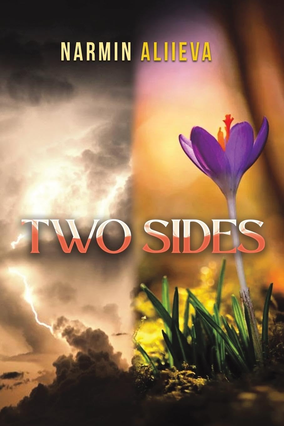 Two Sides Fantasy & Sci-Fi