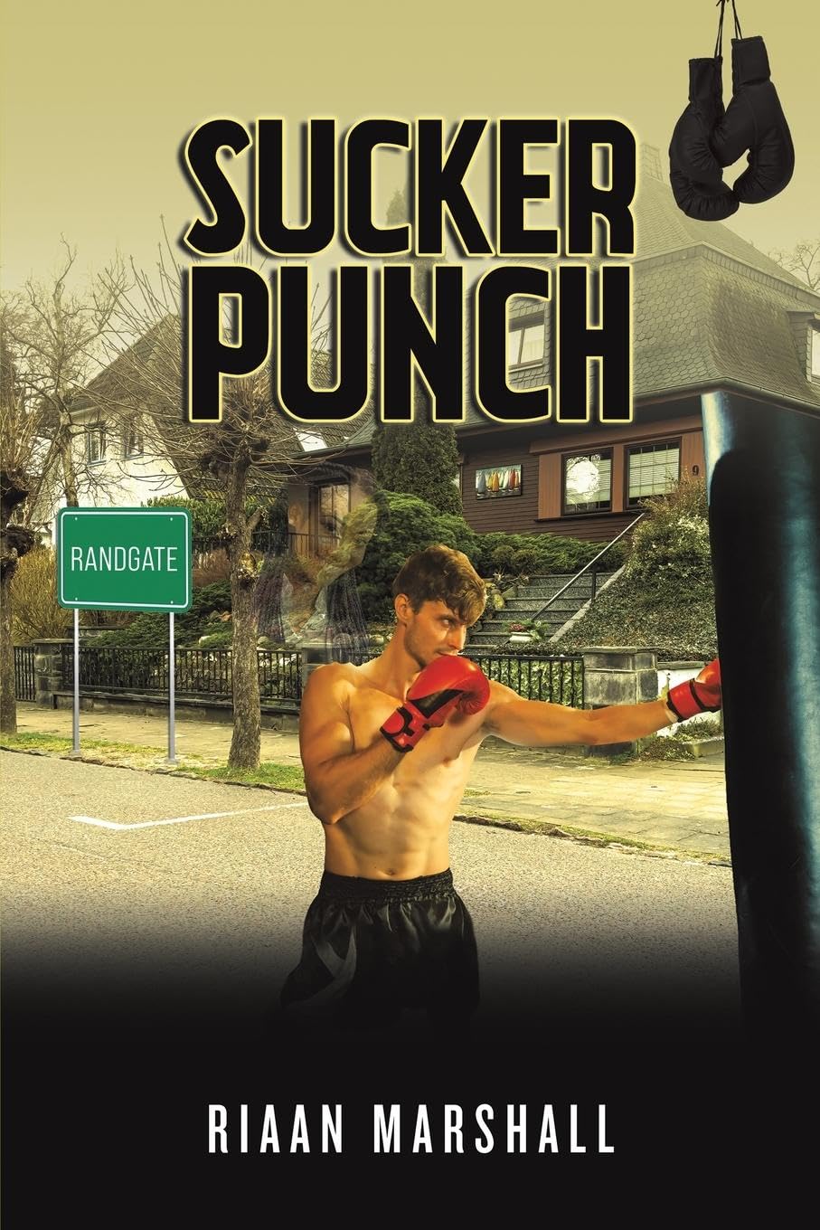 Sucker Punch Contemporary literature