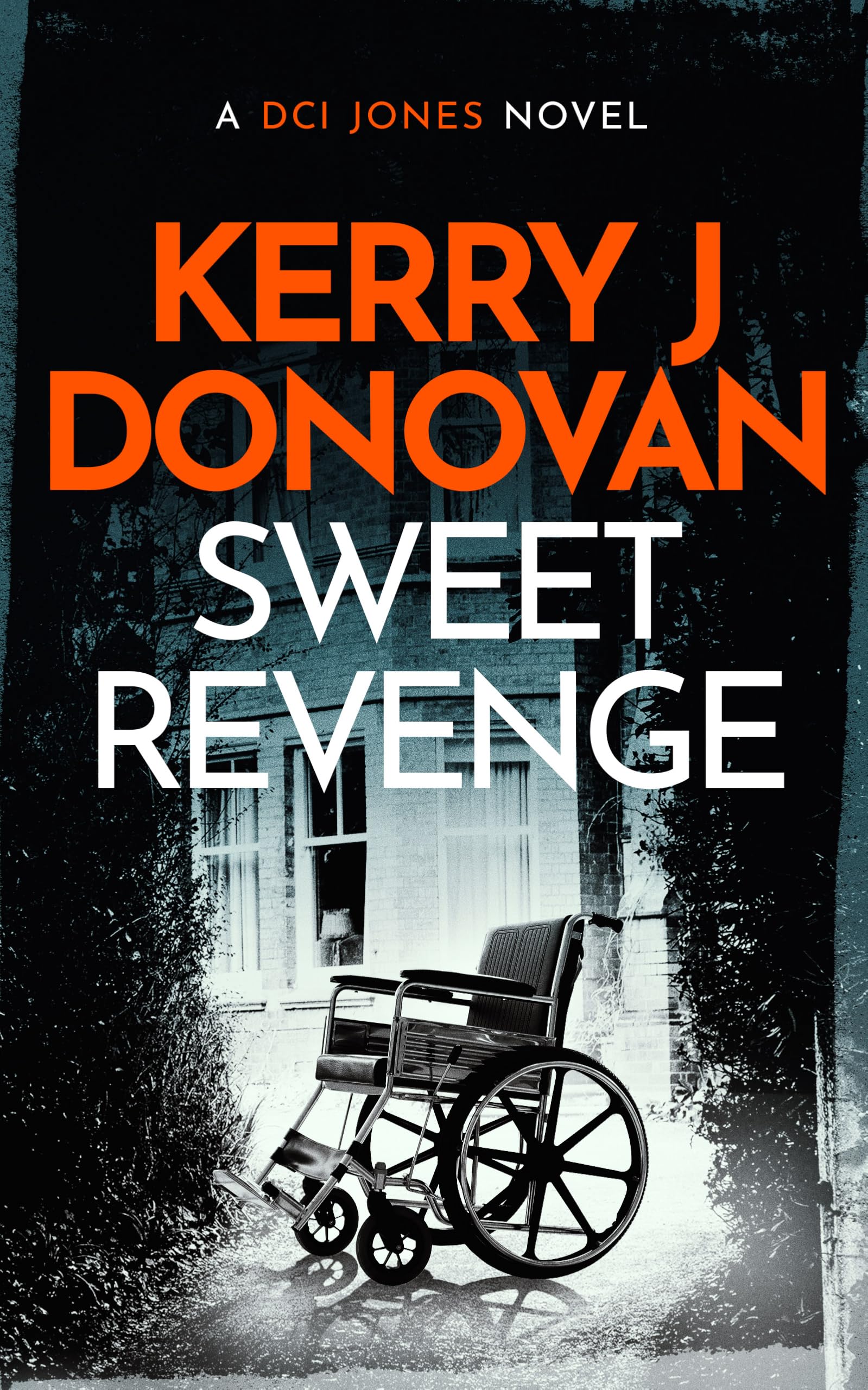 Sweet Revenge (Dci Jones Casebook, 5) Contemporary literature