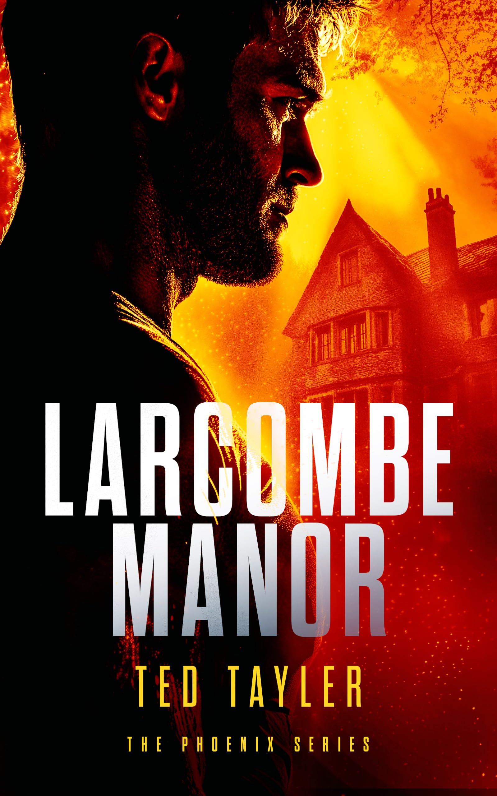 Larcombe Manor: The Phoenix Series - Book 12 (The Phoenix, 12, Band 12) Contemporary literature