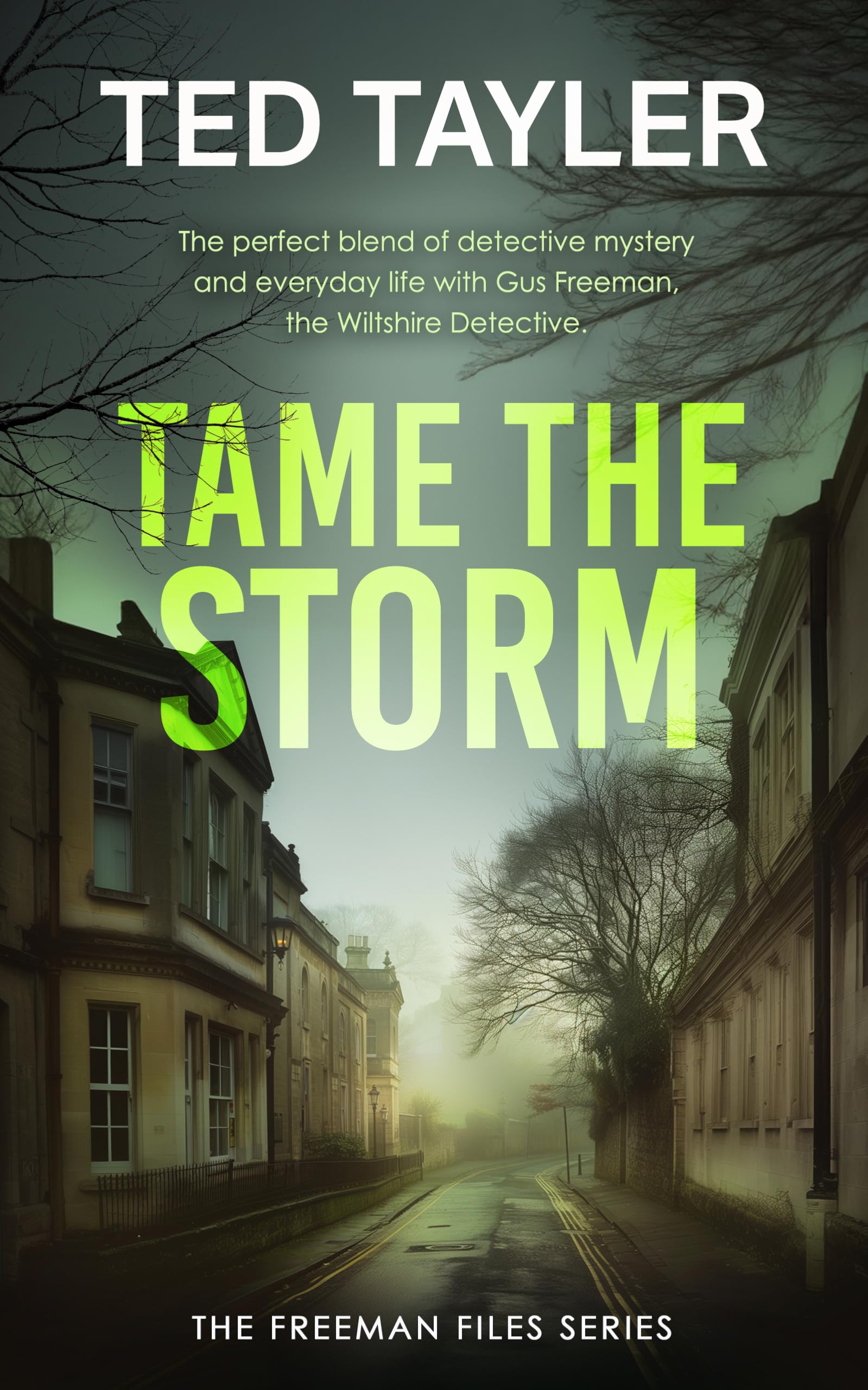 Tame the Storm: A Cold Case Murder Mystery Series (Freeman Files, 17) Contemporary literature