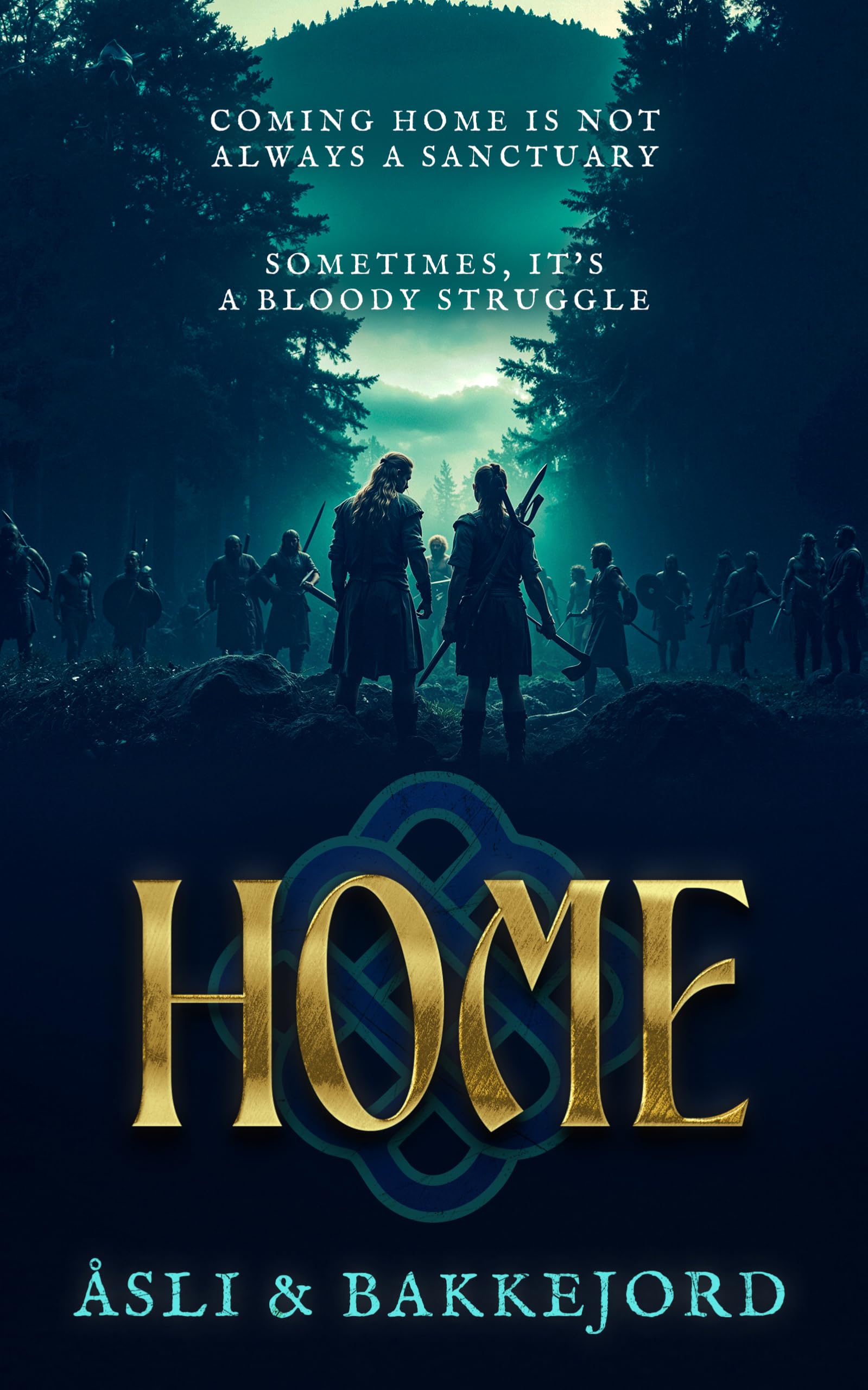 Home (Viking Ventures, 4) Fiction