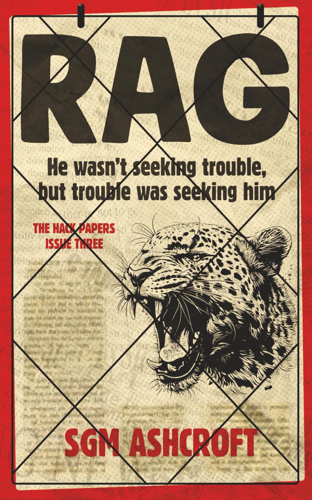 RAG: Crime thriller with humor (The Hack Papers: Thrillers with humor) Contemporary literature