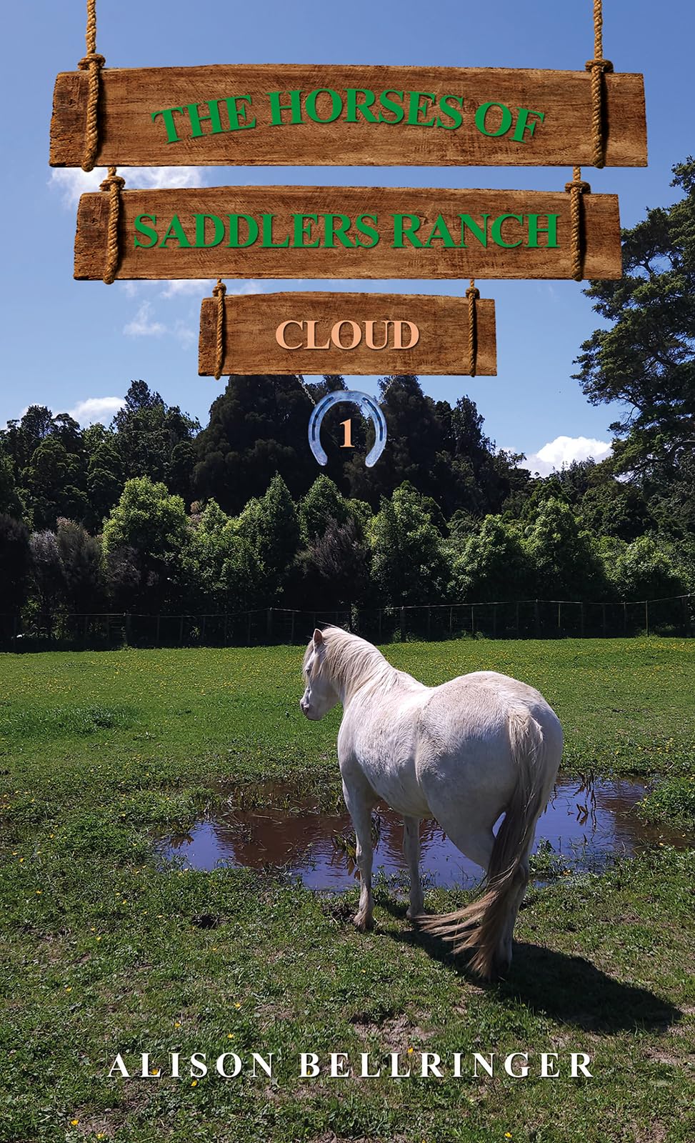 The Horses of Saddlers Ranch Fiction