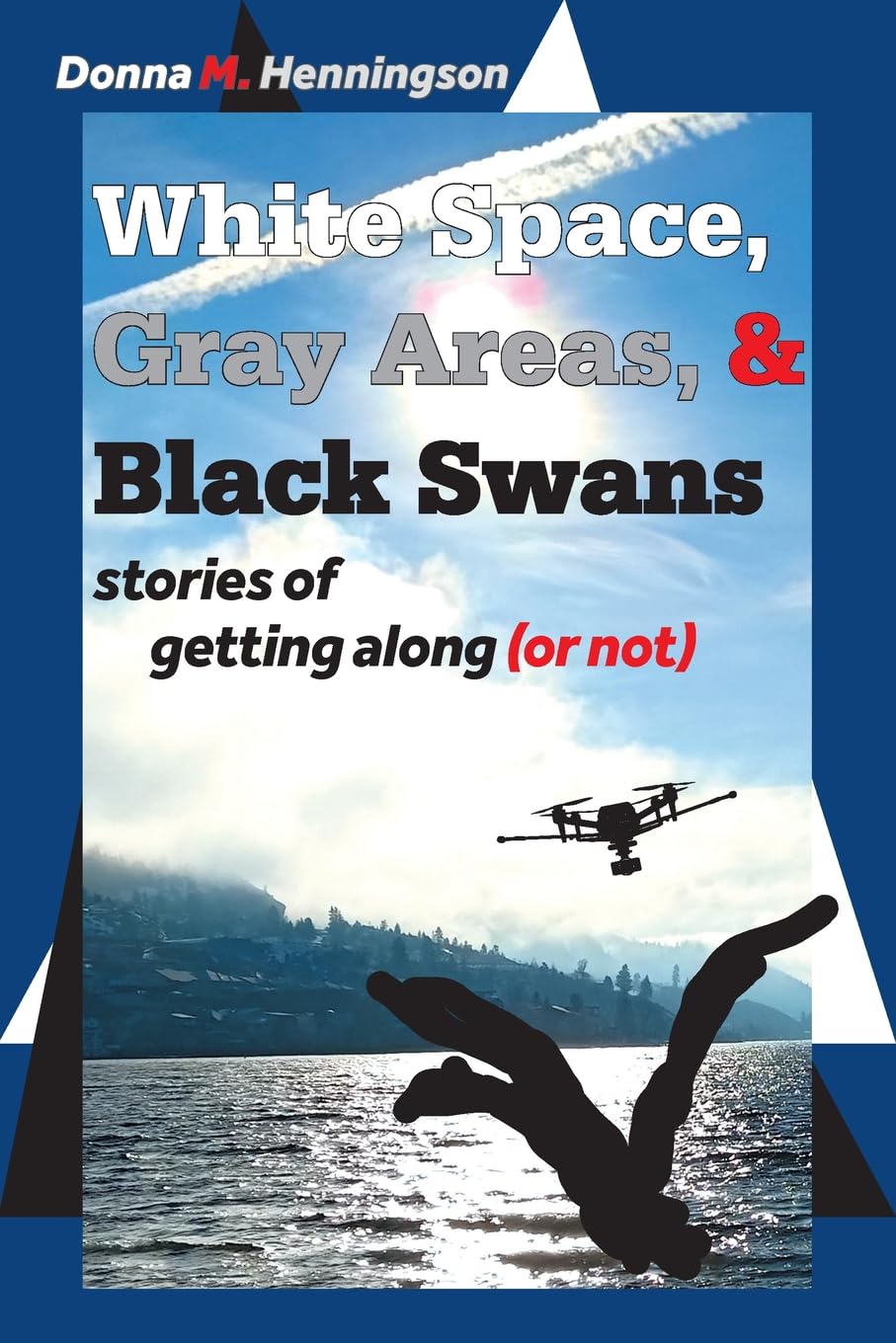 White Space, Gray Areas & Black Swans: stories of getting along (or not) Education