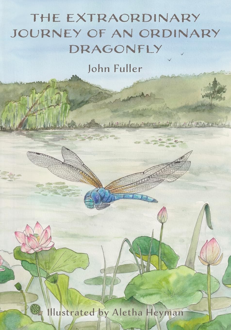 The Extraordinary Journey of an Ordinary Dragonfly Business & Technology