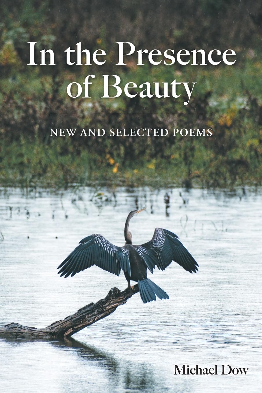 In the Presence of Beauty Poetry