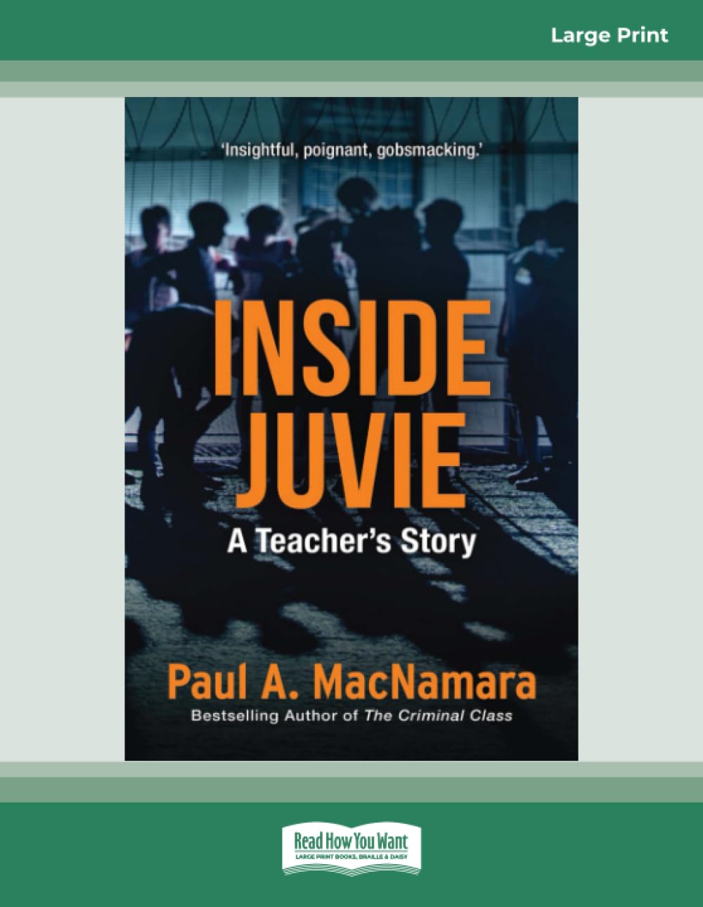 Inside Juvie: A Teacher's Story: (Large Print 16 Pt Edition) Politics & Society