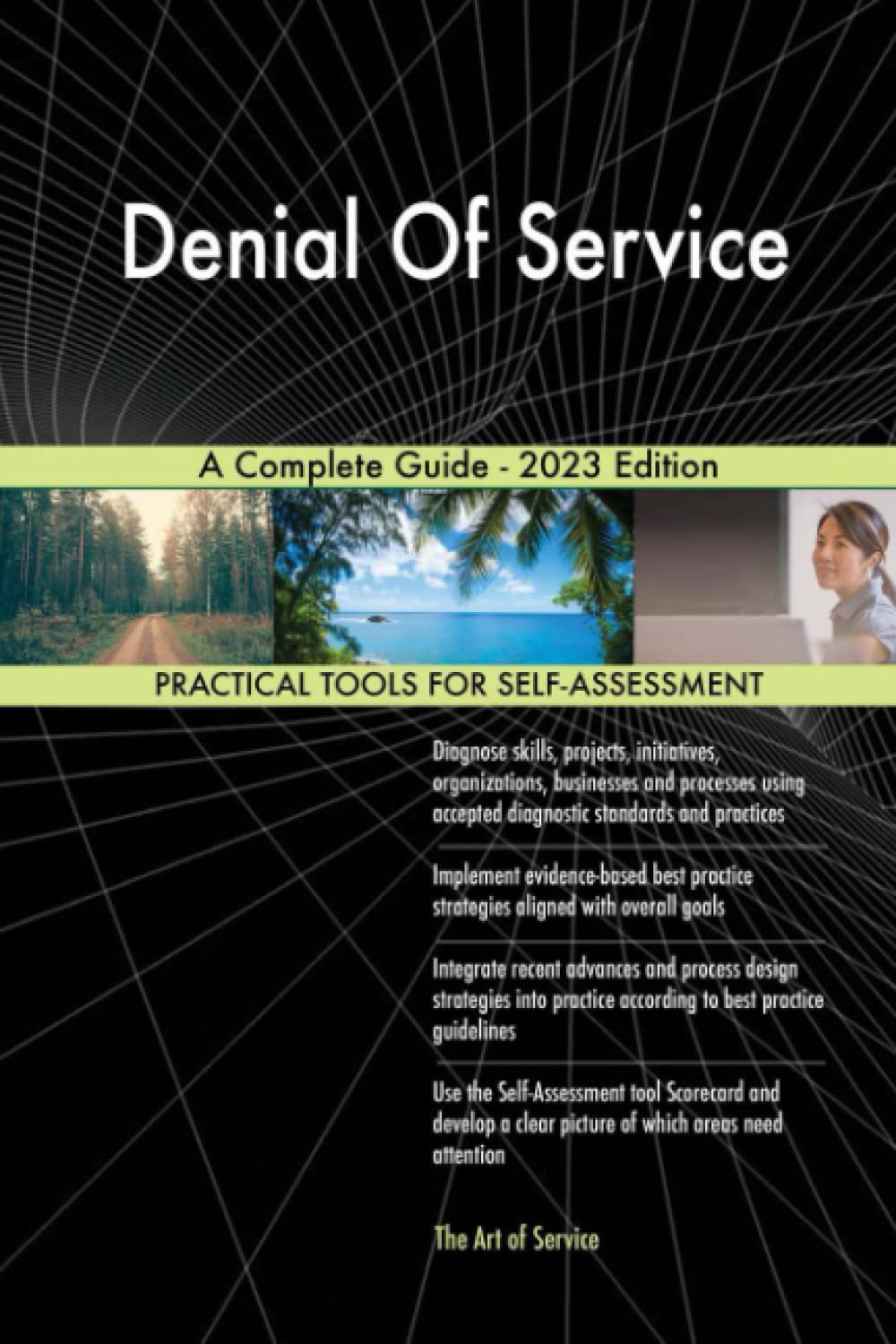Denial Of Service A Complete Guide - 2023 Edition Business, Finance & Career