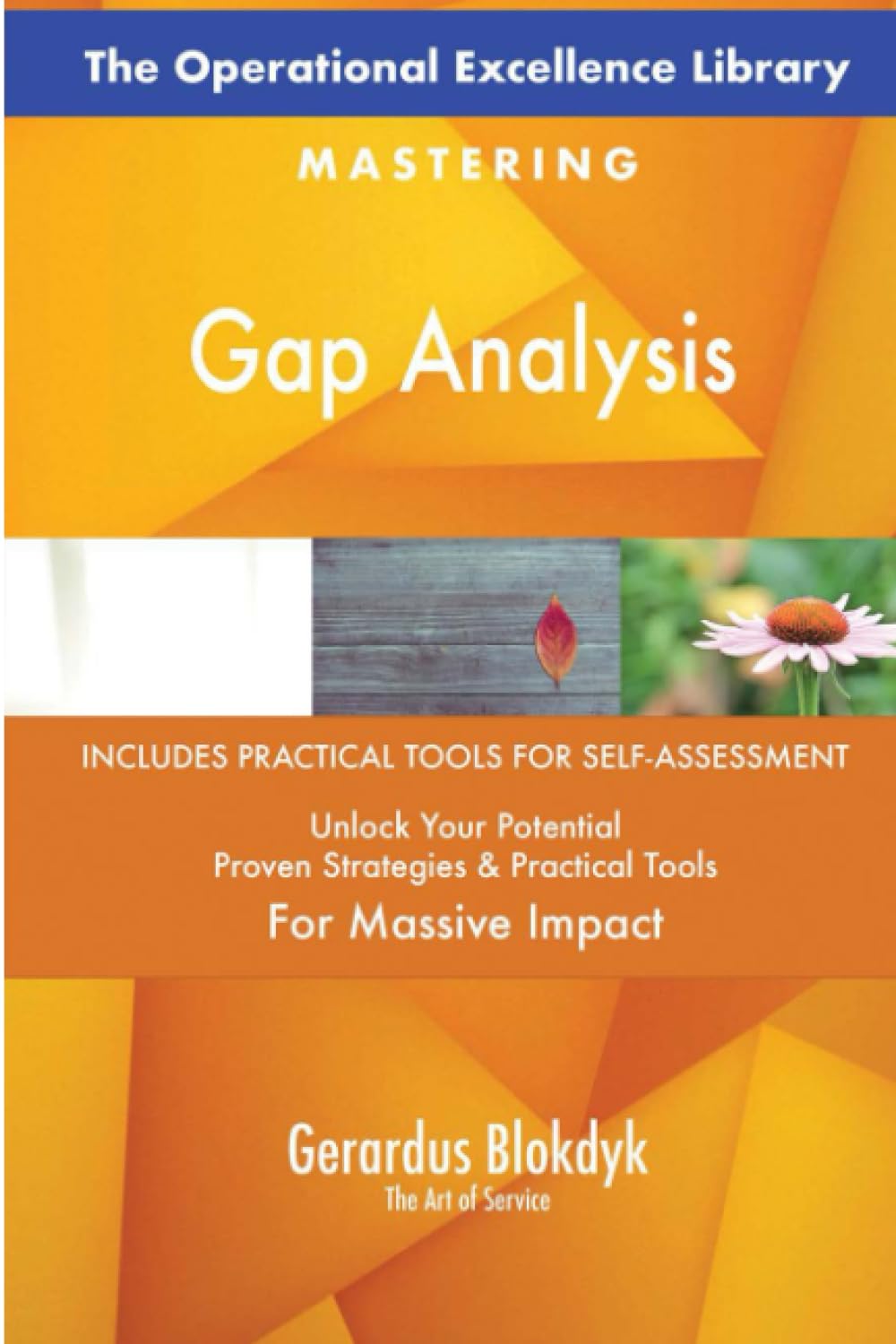 The Operational Excellence Library; Mastering Gap Analysis book