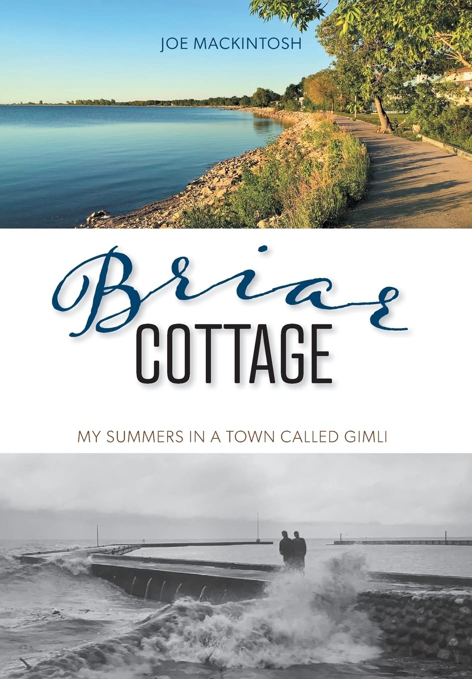 Briar Cottage: Summers in a Town called Gimli book