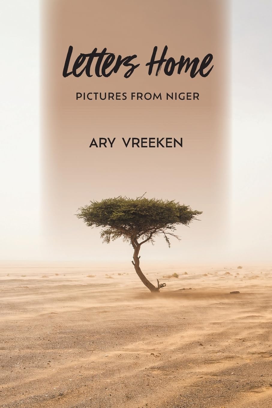Letters Home: Pictures from Niger Art & Literature