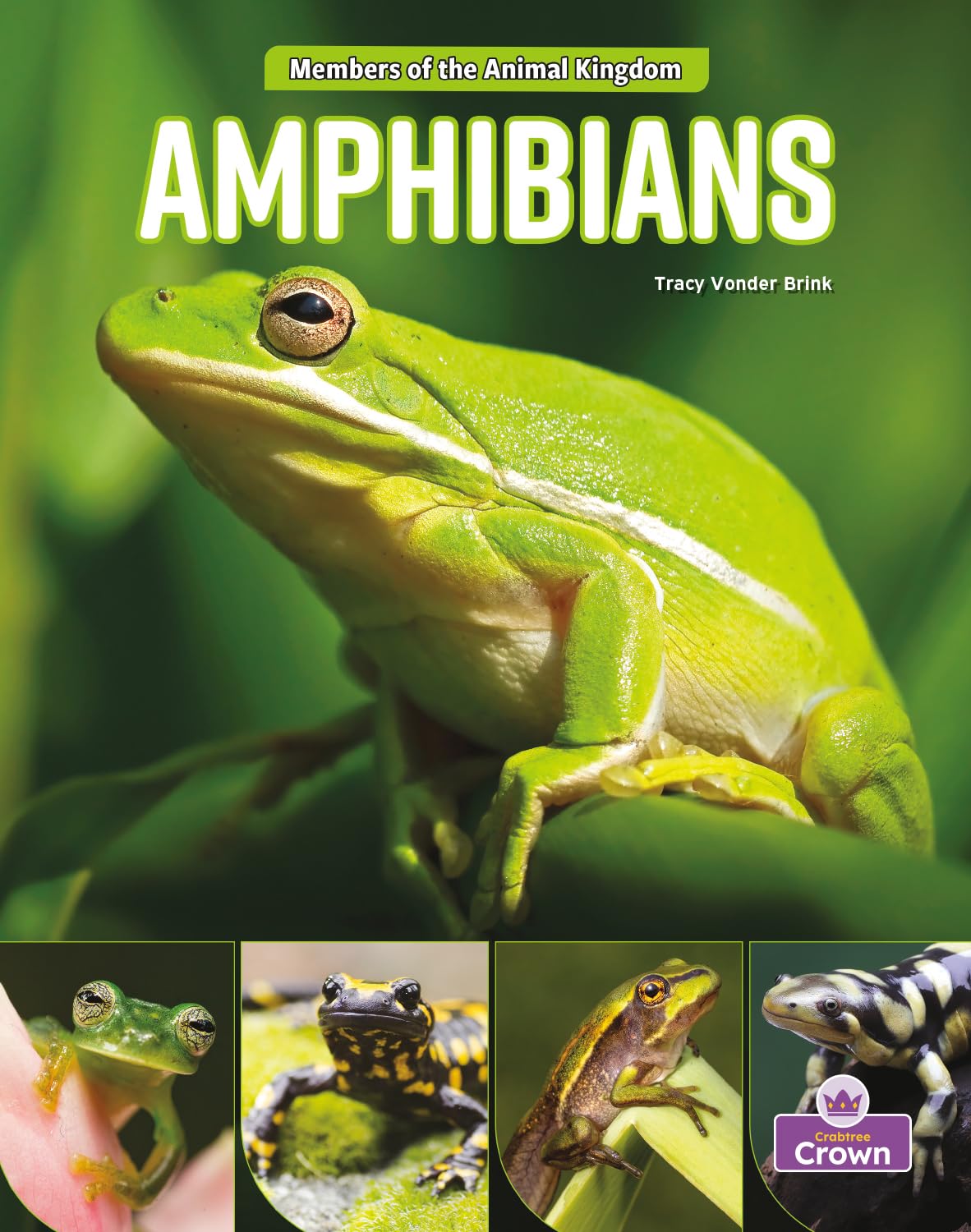 Amphibians (Members of the Animal Kingdom) Novels & Short Stories