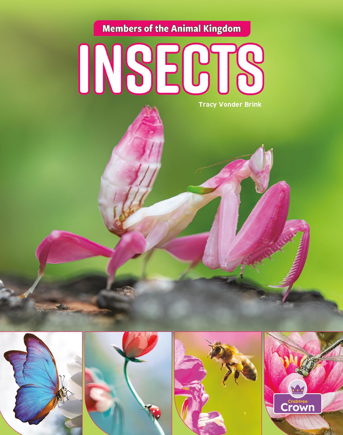 Insects (Members of the Animal Kingdom) Novels & Short Stories