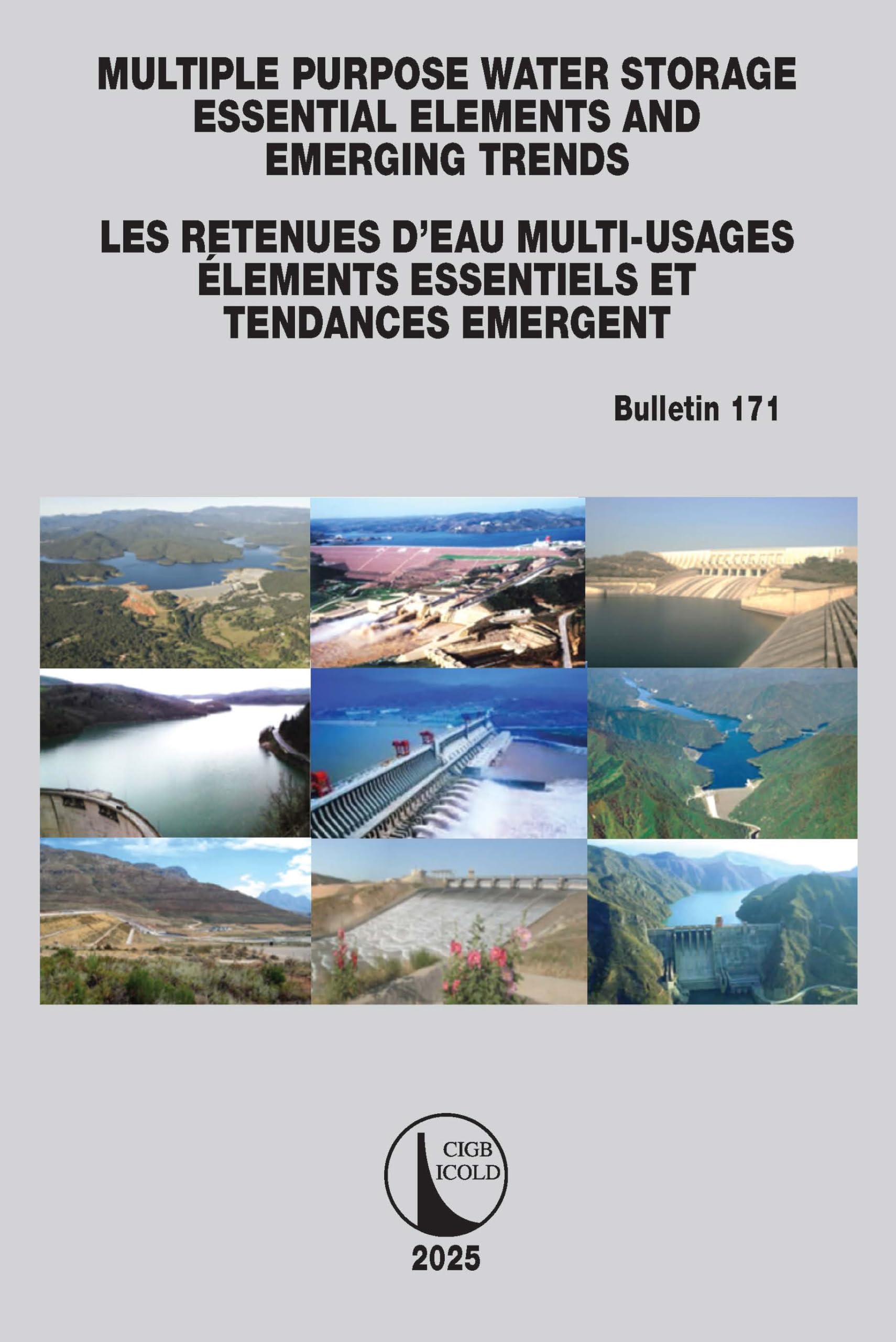 Multipurpose Water Storage Essential Elements and Emerging Trends / Les Retenues d'Eau Multi-Usages Élements Essentiels et Tendances Émergentes Business & Technology