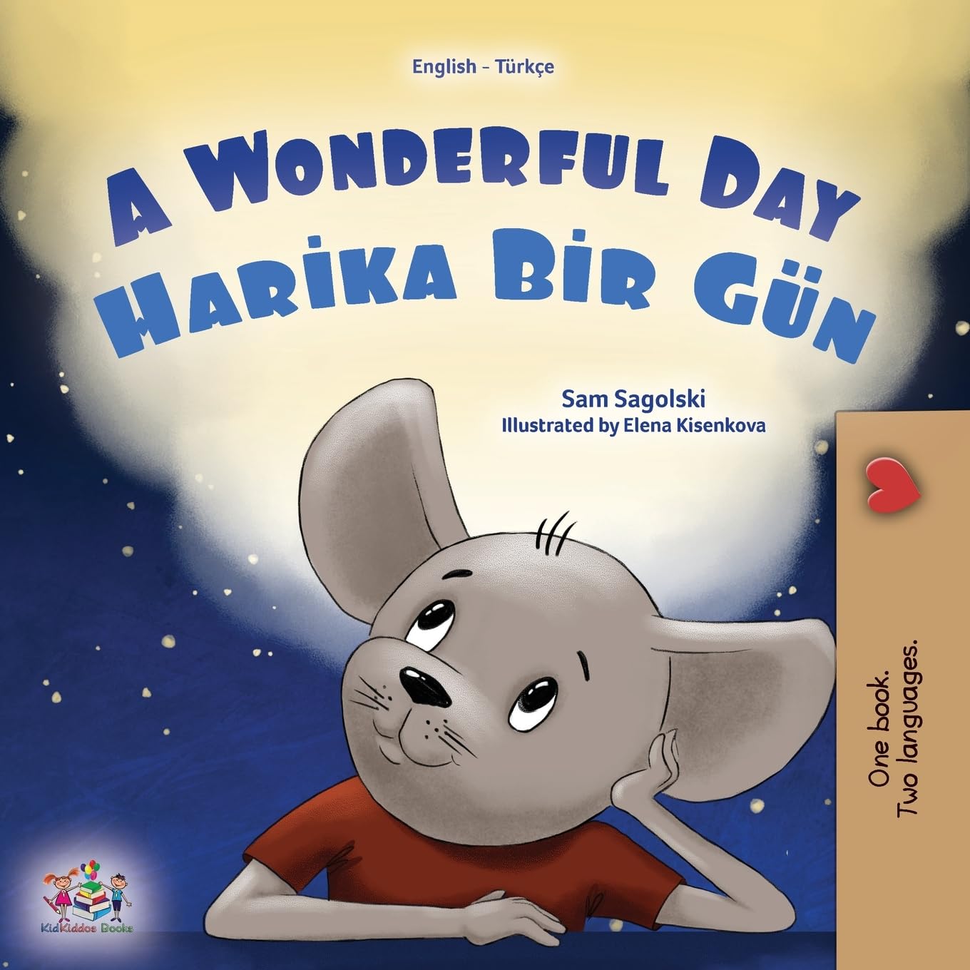 A Wonderful Day (English Turkish Bilingual Children's Book) Foreign Languages ​​& Dictionaries