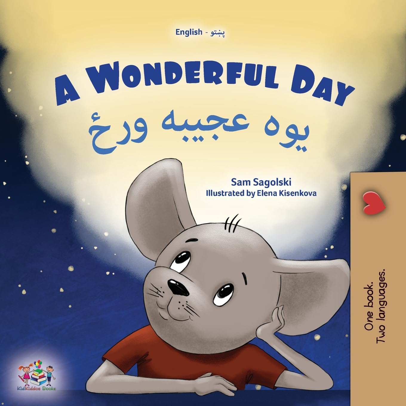A Wonderful Day (English Pashto Bilingual Children's Book) Foreign Languages ​​& Dictionaries