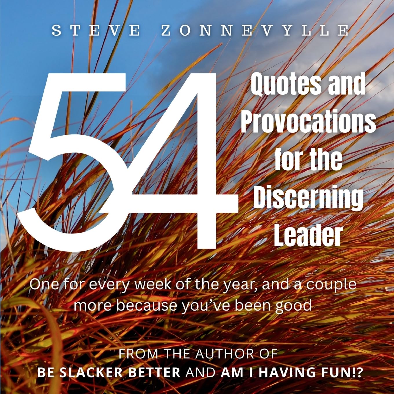 54 Quotes and Provocations for the Discerning Leader Politics & History