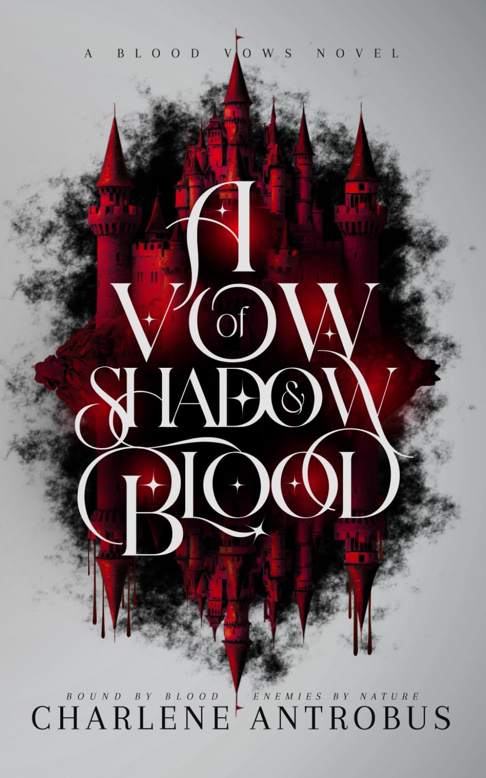 A Vow of Shadow and Blood Dark Fantasy