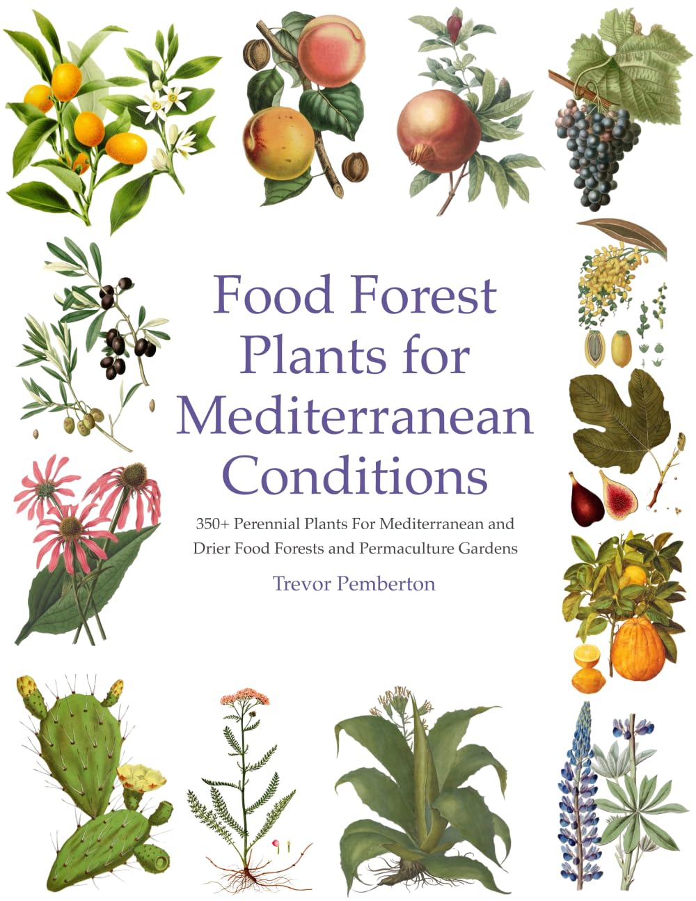Food Forest Plants for Mediterranean Conditions Garden & Plants