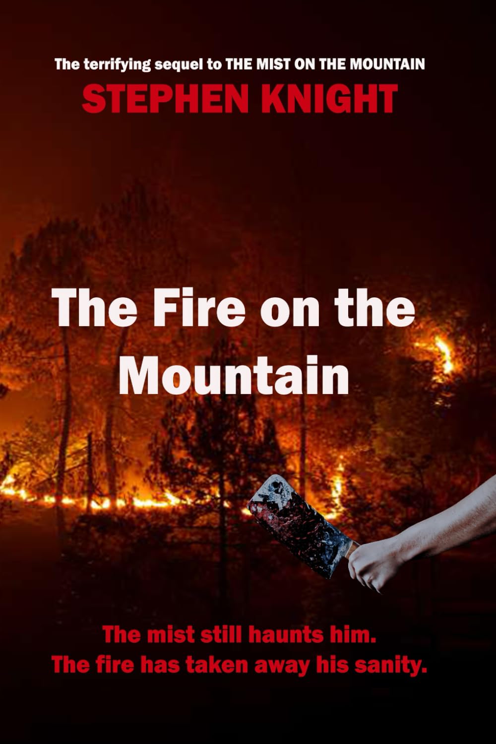 The Fire On The Mountain (The Garw Valley Murders, Band 2) Action & Adventure