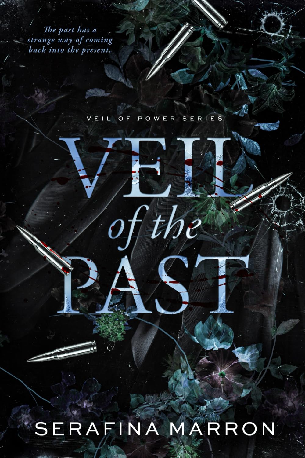 Veil of the Past Contemporary literature