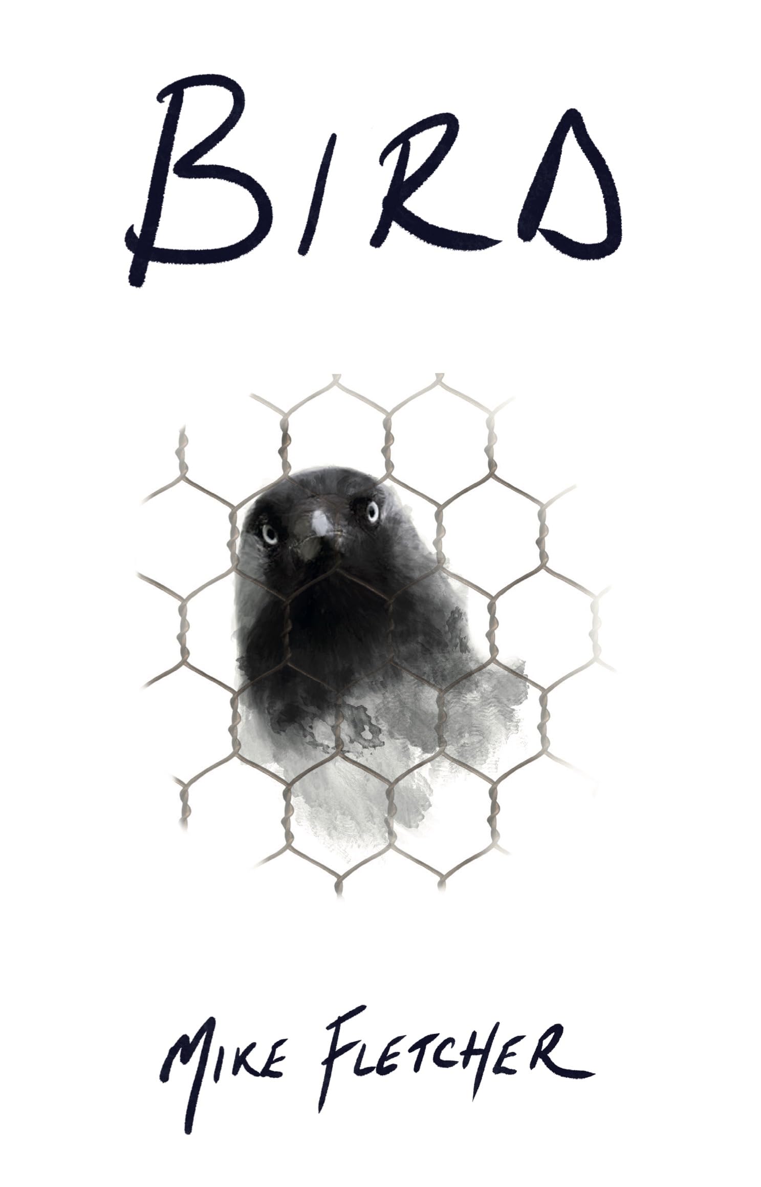 Bird: A Tale of Friendship, Love and Never Losing Hope Contemporary literature