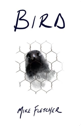 Bird: A tale of friendship, love and never losing hope Contemporary literature