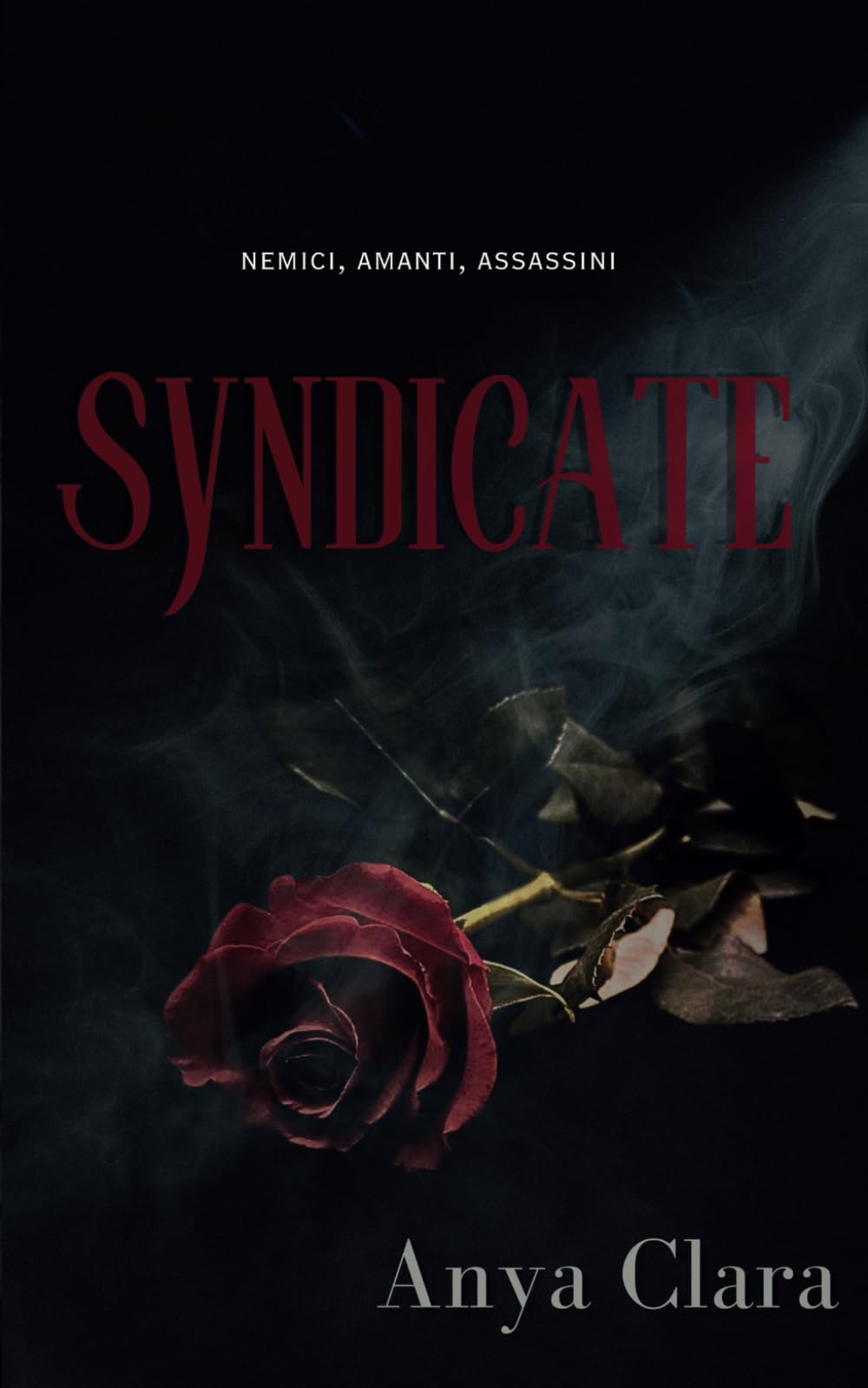 Syndicate Contemporary literature
