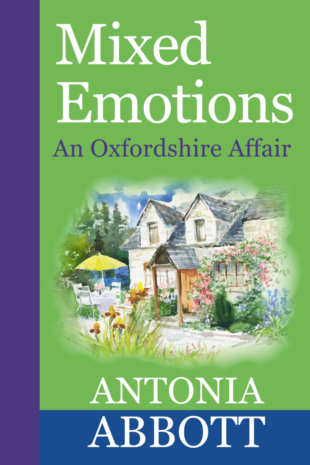Mixed Emotions: An Oxfordshire Affair (Emotions series, Band 1) Contemporary literature