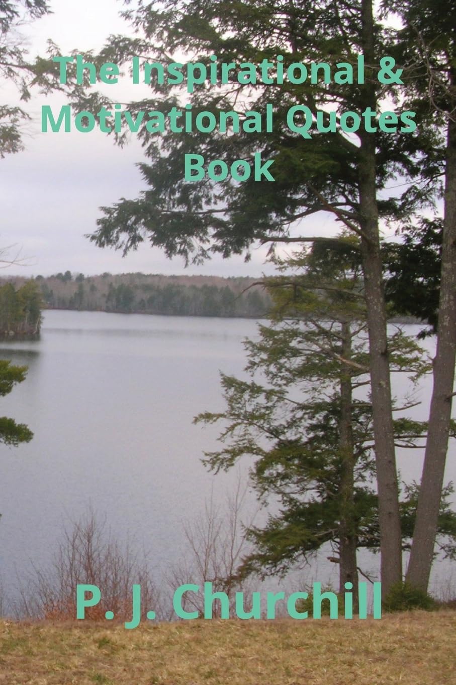 The Inspirational & Motivational Quotes Book Contemporary literature