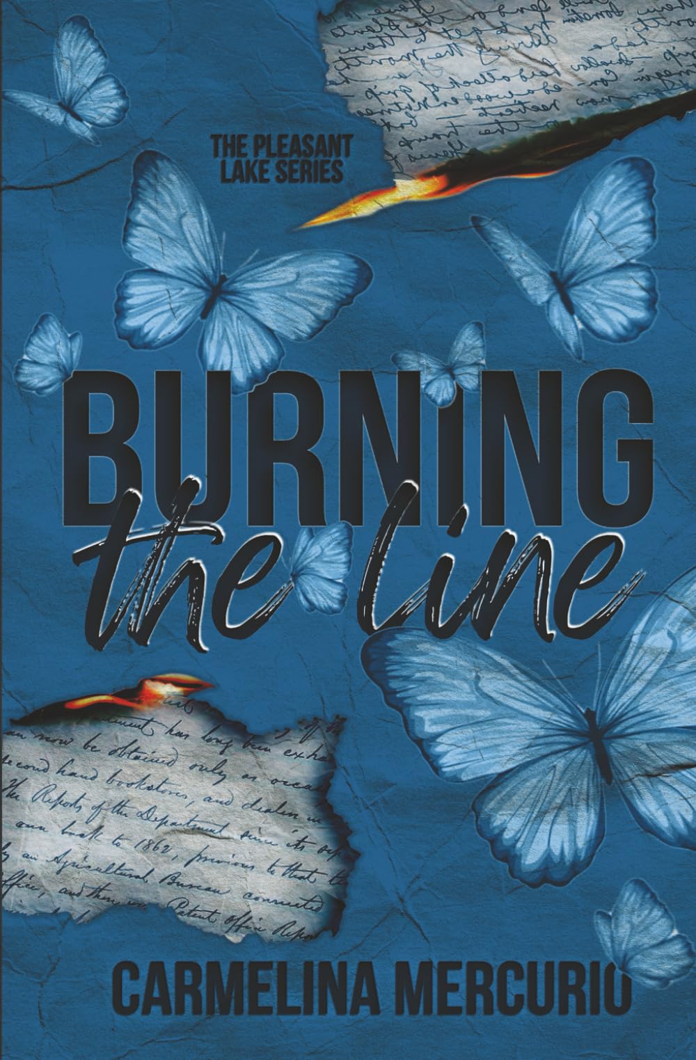 Burning the Line (The Pleasant Lake Series Book 1) New Adult