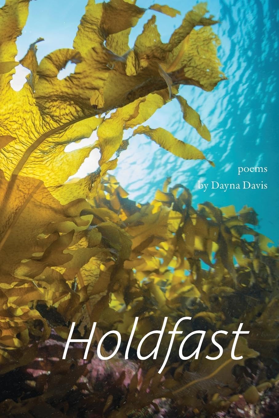 Holdfast Poetry