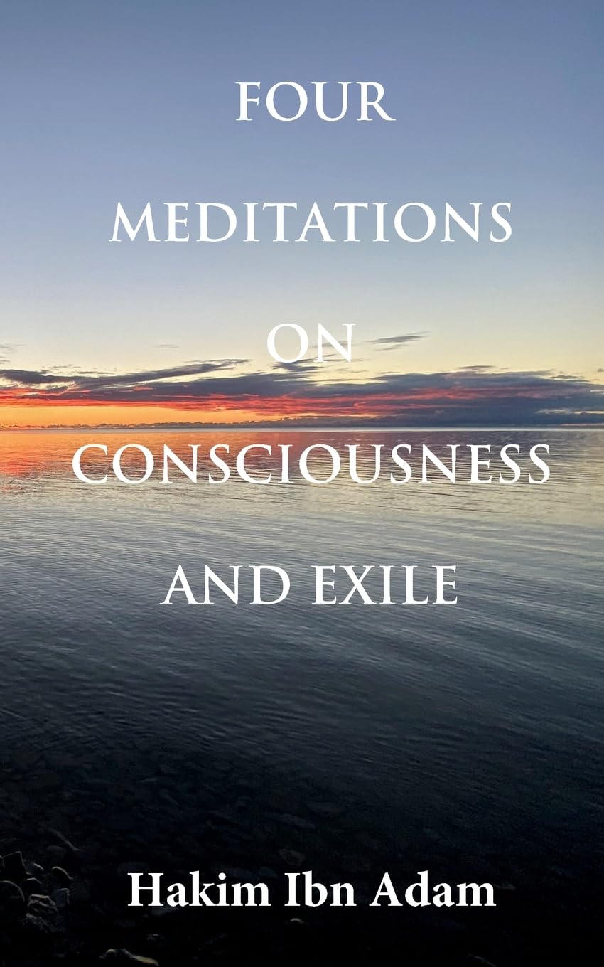 Four Meditations on Consciousness and Exile Essays & Short Stories