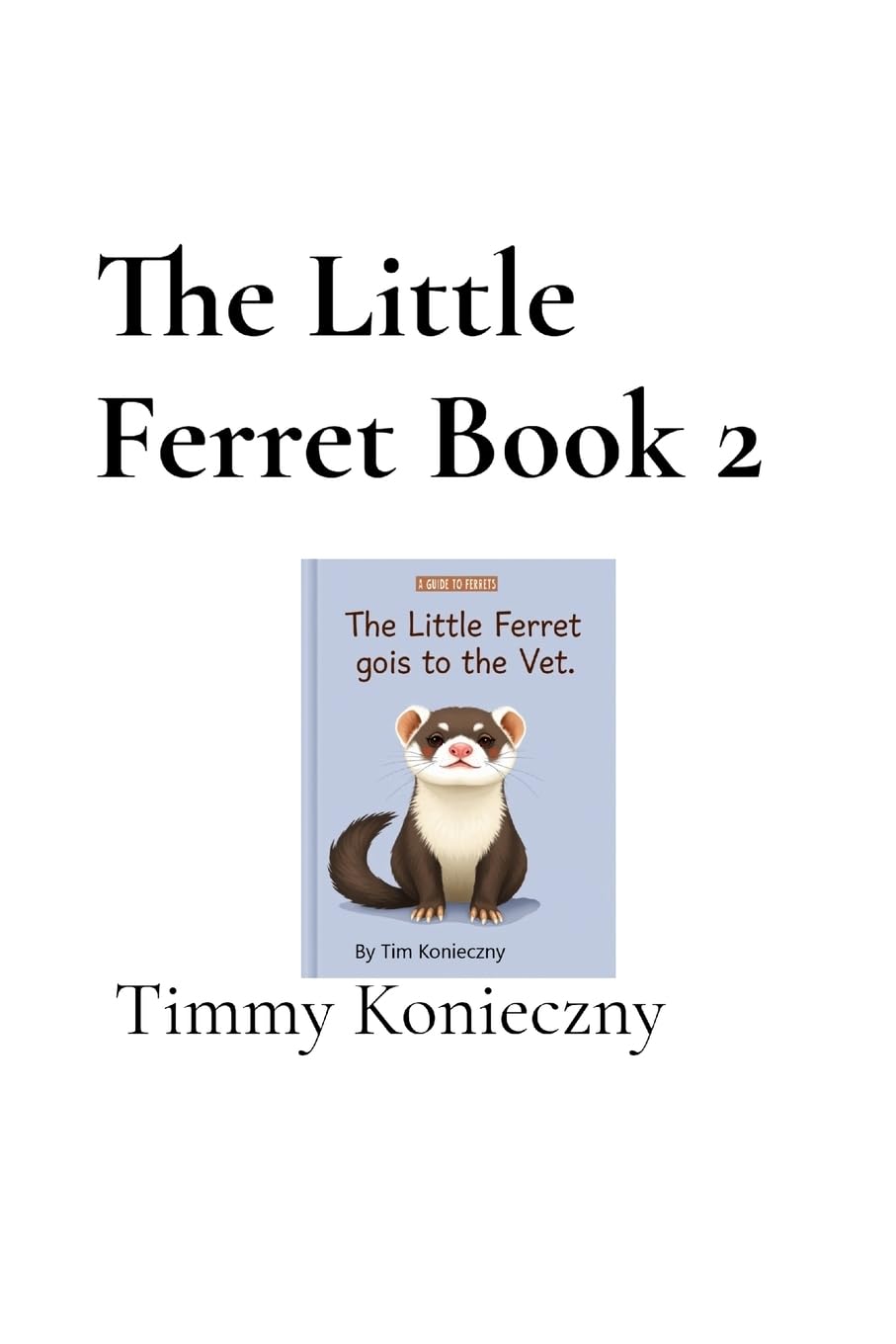 The Little Ferret Book 2 Children's books