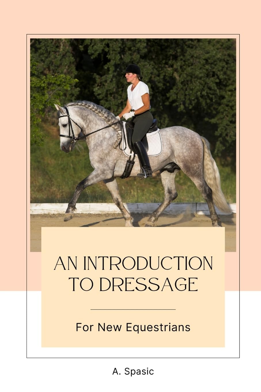 An Introduction to Dressage for New Equestrians Pets