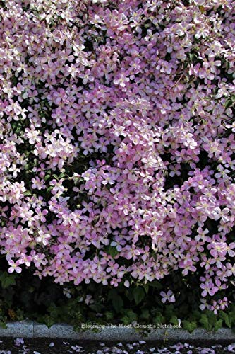 Blooming The Moat Clematis Notebook: 6 x 9 in; 15.2 x 22.9 cm book