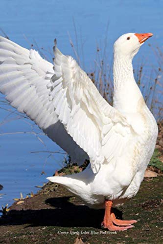 Geese Birds Lake Blue Notebook: 6 x 9 in; 15.2 x 22.9 cm Mathematics