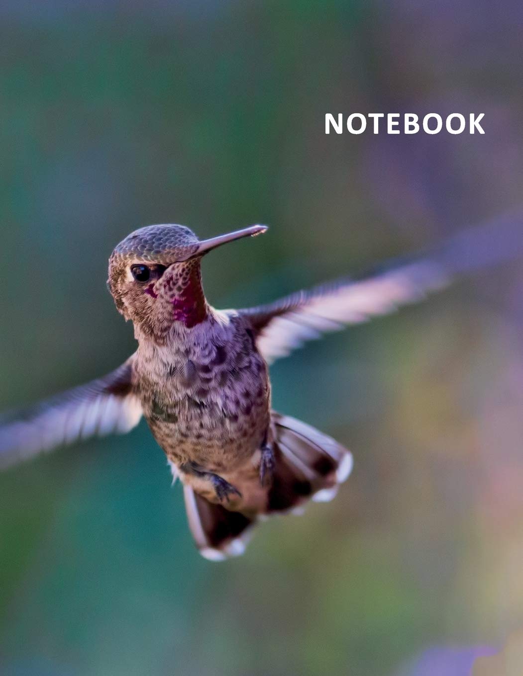 College Ruled Notebook: Hummingbird gifts for mom Practical Student Composition Book Daily Journal Diary Notepad for research in identifying backyard birds book