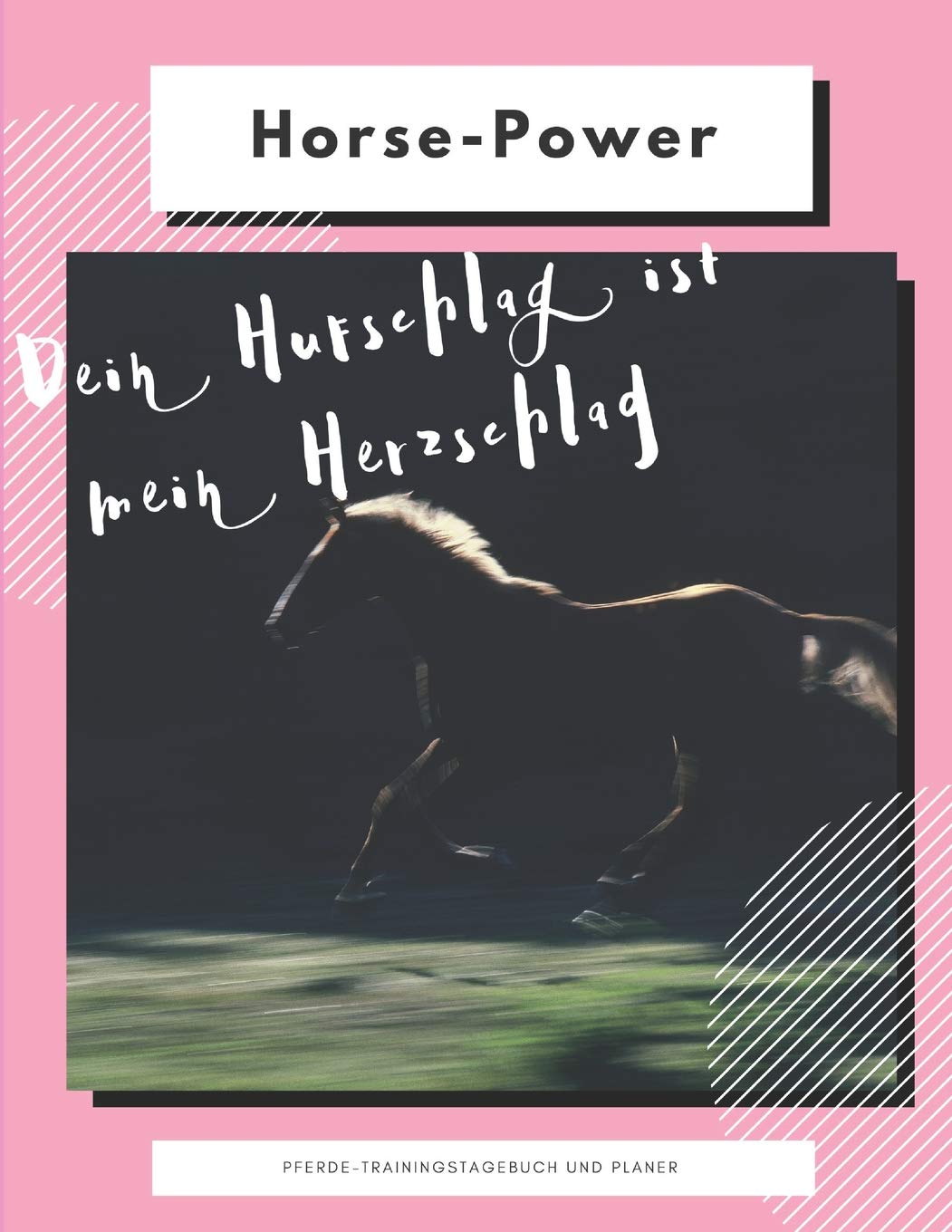 Notizbuch, Planer, Organizer-Pferdetraining: XXL Planer/ Organizer mit viel Platz für Trainingsziele, Medikamente, Tierarzttermine usw. Eine ... Seiten strukturiert, liniert, Cornell-Methode Pets