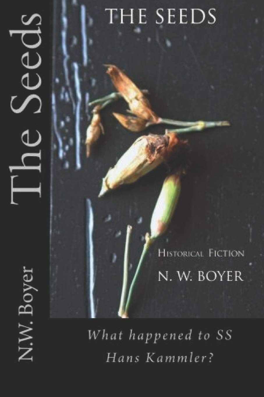 The Seeds: Whatever happened to SS General Hans Kammler? (Historical Fiction, Band 1) Historical Fiction