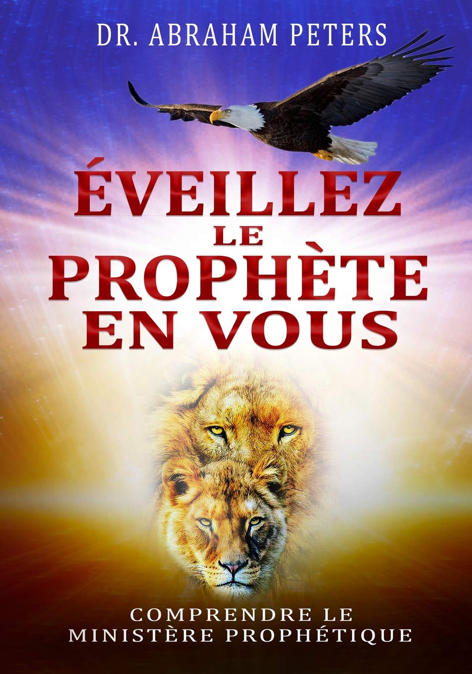 ÉVEILLEZ LE PROPHÈTE EN VOUS: COMPRENDRE LE MINISTÈRE PROPHÉTIQUE book